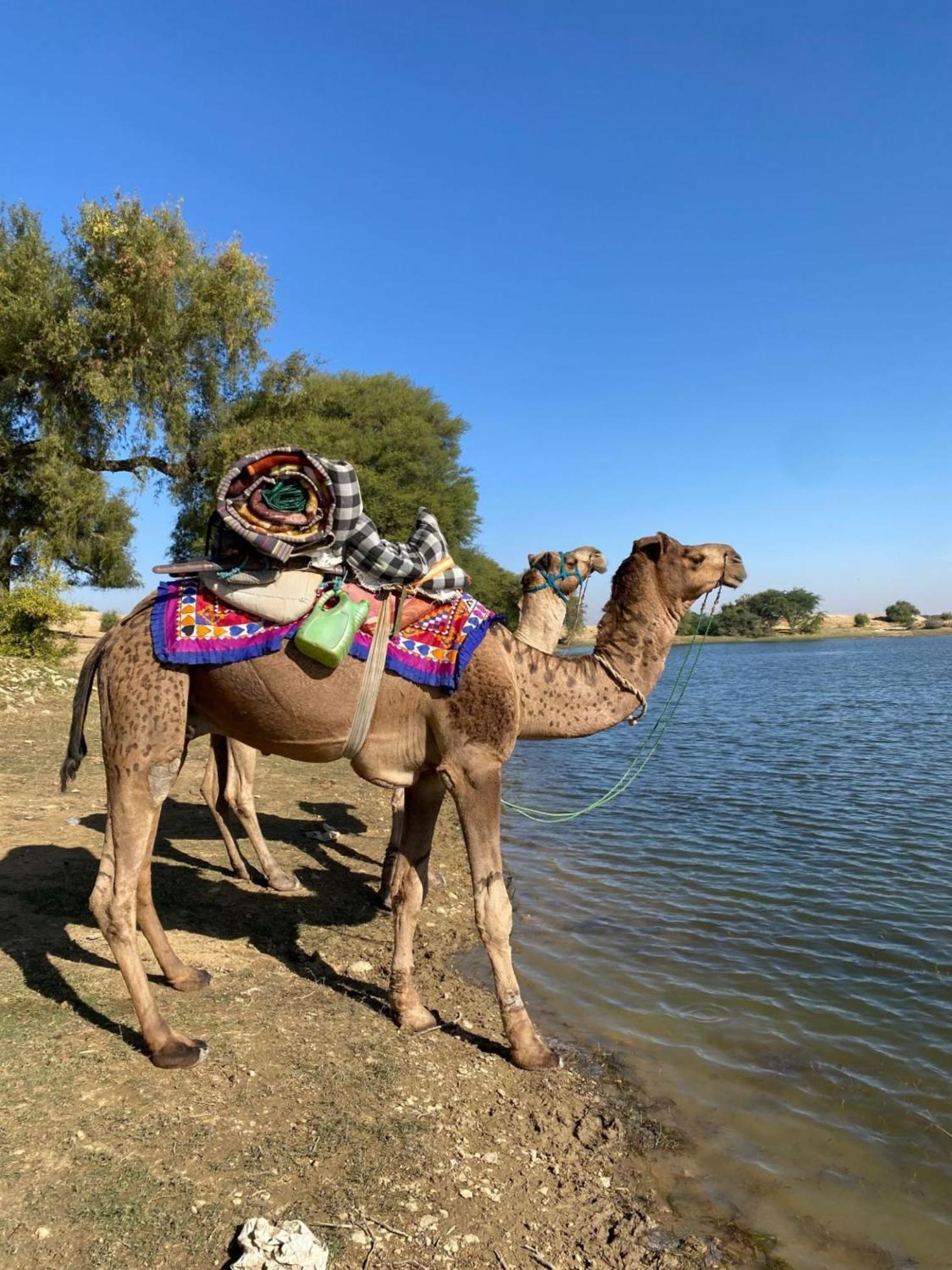 Crazy Camel Hotel &Safari Jaisalmer Esterno foto