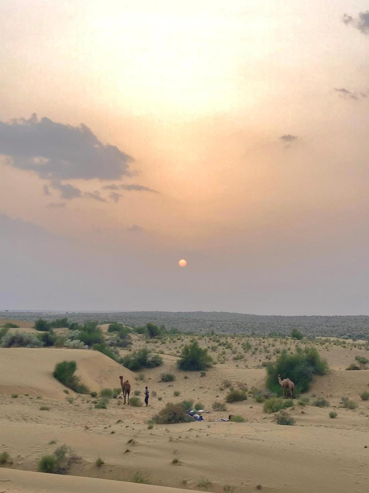 Crazy Camel Hotel &Safari Jaisalmer Esterno foto