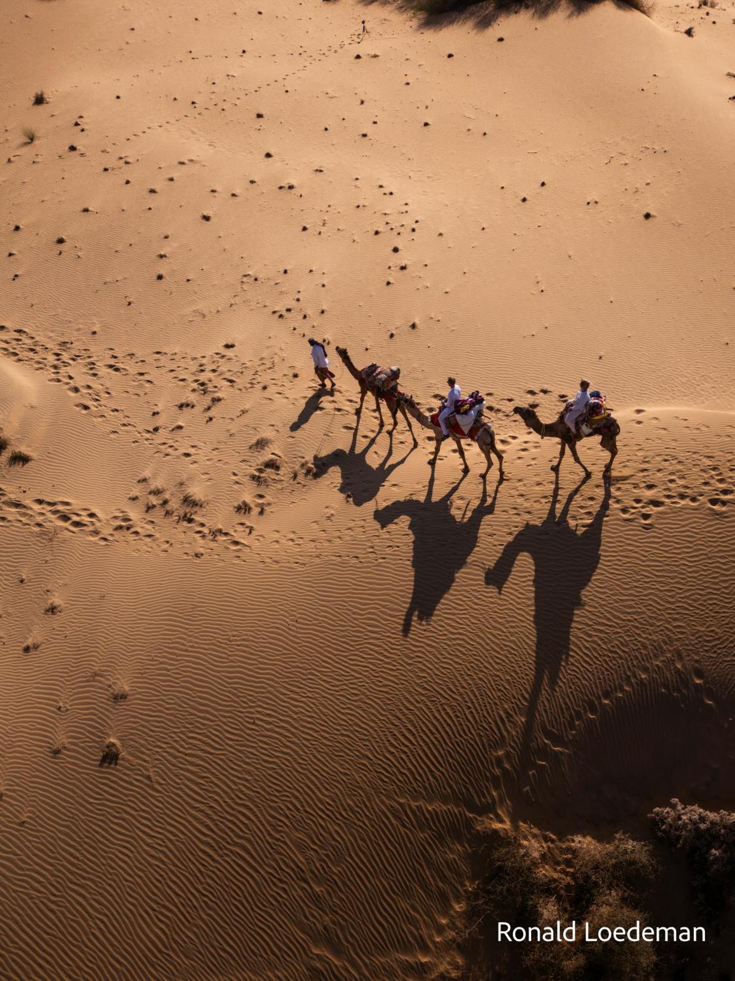 Crazy Camel Hotel &Safari Jaisalmer Esterno foto